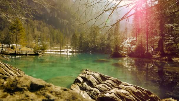 Lago calmo circondato dalla foresta — Video Stock