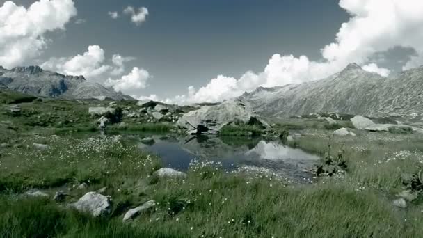 Abbassa la crescita sul prato vicino al lago — Video Stock