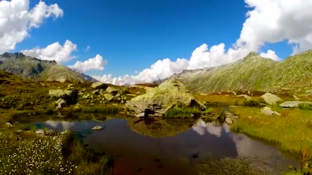 Yakın göl çayır üzerinde büyüyen düşürür — Stok video