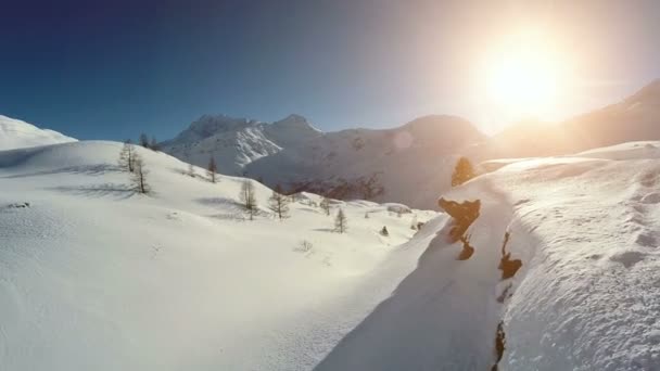 Karla kaplı tepeler üzerinde büyüyen firs — Stok video