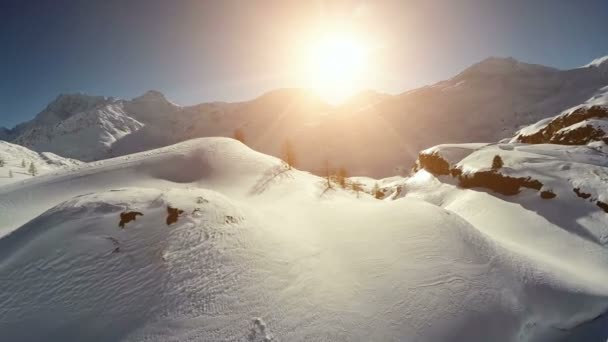 Dennen groeien op besneeuwde heuvels — Stockvideo