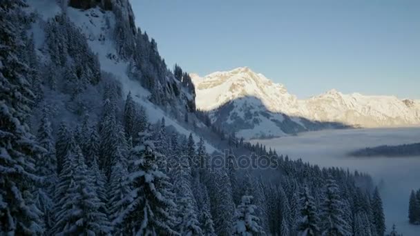 Незайманий сніг покритий гірським пейзажем — стокове відео