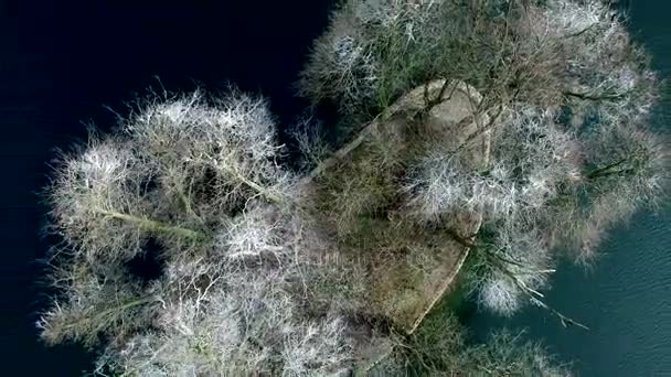 Letecký Pohled Úžasnou Zaoblený Ostrova Jezeře Slunný Zimní Den — Stock video
