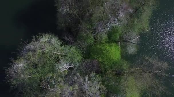 晴れた日の湖の素晴らしい丸みを帯びた島の航空写真 — ストック動画