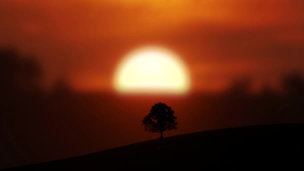 Oranžové Masivní Slunce Zapadá Obzoru Nad Polem Úžasný Západ Slunce — Stock video