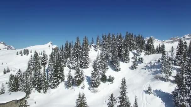 无暇的雪花覆盖山风景 — 图库视频影像