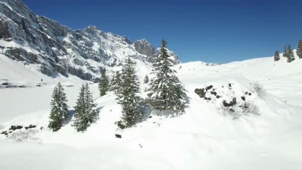 Paysage de montagne couvert de neige intacte — Video