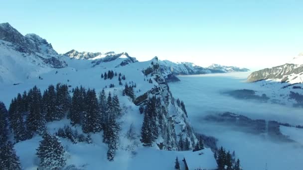Pokryte śniegiem dziewiczej góry krajobraz — Wideo stockowe