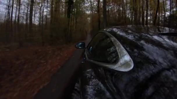 Jazda Samochodem Asfaltowej Drodze Jesiennym Lesie — Wideo stockowe
