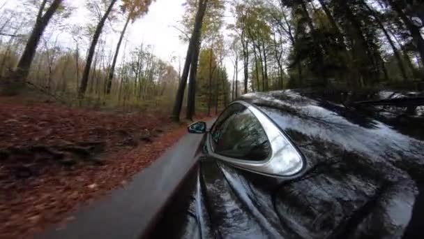 Car Riding Asphalt Road Autumn Forest — kuvapankkivideo