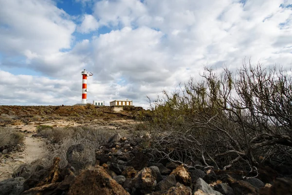 Punta Abona deniz feneri. Okyanusa bakan manzara. Günbatımı. Su parlak. Tenerife Island, İspanya