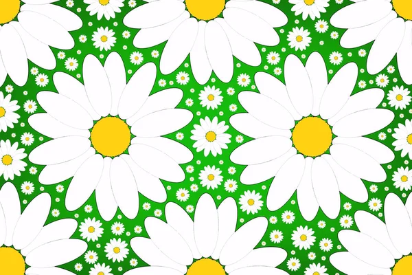 Ромашки Matricaria Зеленом Фоне Ромашковое Поле Рисование Цветов Иллюстрация — стоковое фото