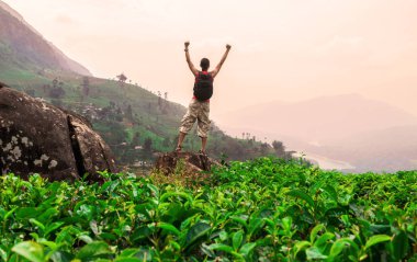 Genç adam çay plantasyon ve güzel manzara. Sri-Lanka