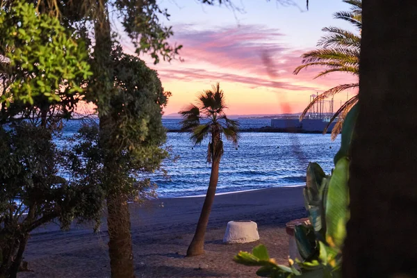 Sahilde gün batımı palmiyelerle — Stok fotoğraf