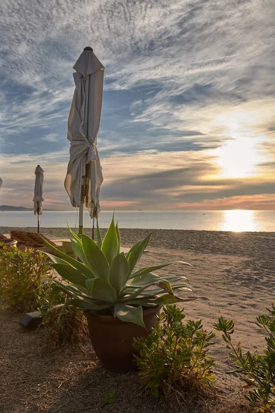 Güneşin doğuşunda güneş şemsiyesi ve aloe vera bitkisiyle plaj şezlongunda — Stok fotoğraf