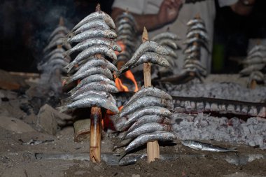 San Juan 'da sardalya tükürüğü.