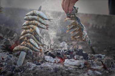 San Juan 'da sardalya tükürüğü.