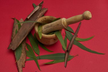 okaliptüs ilacı çayı koyu arka planda ahşap üzerine