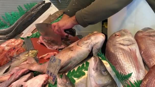 Pescado Siendo Destripado Mercado Mlaga España Primer Plano Las Manos — Vídeos de Stock