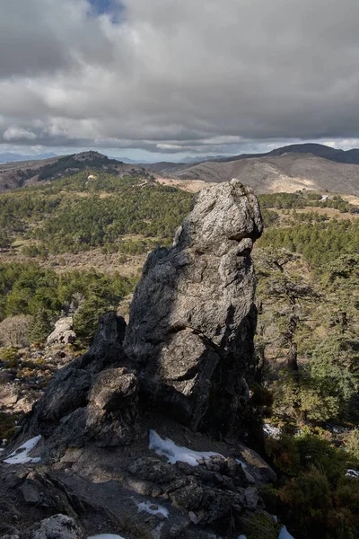 Rock i en Pinsapo gran skog med snö, stenar och ljus sol i Sierra de las Nieves — Stockfoto