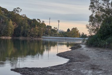 Sunset in a lake with eucalyptus trees with nice reflection in the water in Marbella Andalusia Spain