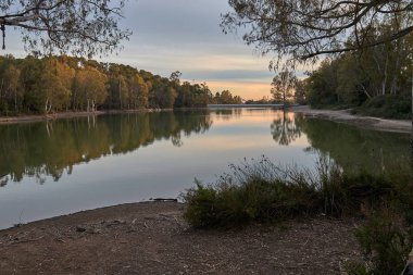 Sunset in a lake with eucalyptus trees with nice reflection in the water in Marbella Andalusia Spain
