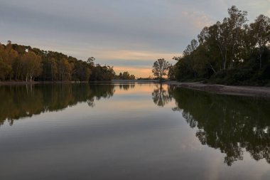 Sunset in a lake with eucalyptus trees with nice reflection in the water in Marbella Andalusia Spain