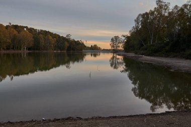 Sunset in a lake with eucalyptus trees with nice reflection in the water in Marbella Andalusia Spain
