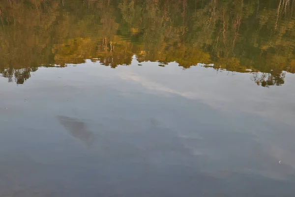 Sonnenuntergang in einem See mit Eukalyptusbäumen mit schöner Spiegelung im Wasser in Marbella Andalusien Spanien — Stockfoto