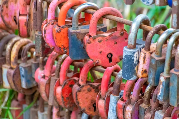 Group Old Rusty Locks Closed Theier Marriages Symbol Eternal Love — 스톡 사진