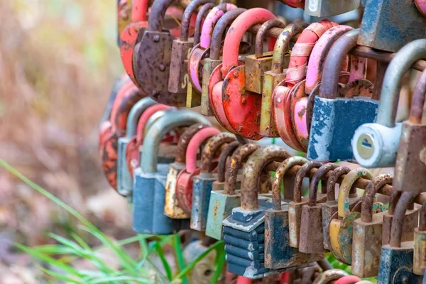 Group Old Rusty Locks Closed Theier Marriages Symbol Eternal Love — 스톡 사진