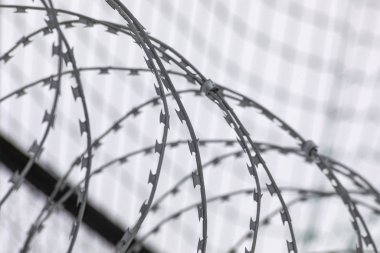 Koruyucu ağ çizim konsepti olan dikenli tel cezaevi sistemi