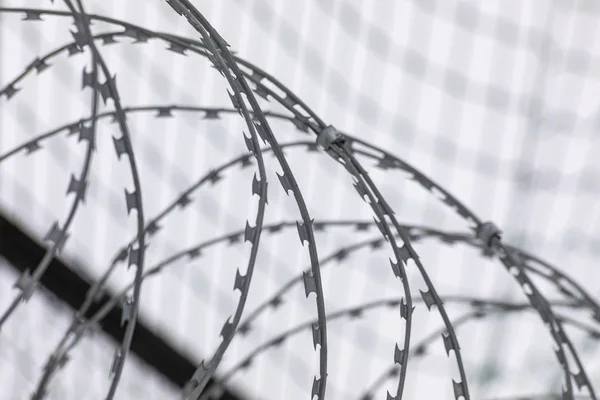 Barbed Wire Protective Net Illustrating Concept Penitentiary System — 스톡 사진
