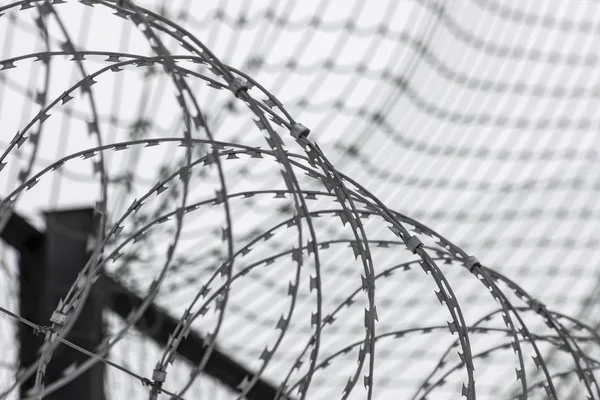 Barbed Wire Protective Net Illustrating Concept Penitentiary System — 스톡 사진