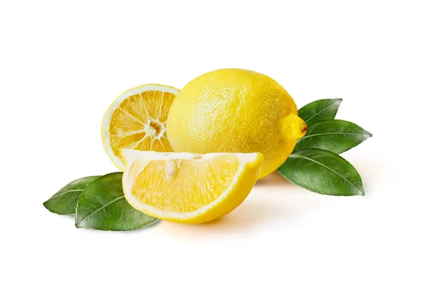 Citrus fruit lemon — Stock Photo, Image