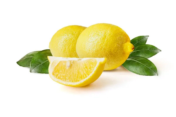 Zitrusfrucht Zitrone — Stockfoto