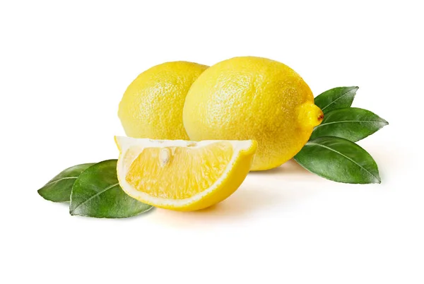 Zitrusfrucht Zitrone — Stockfoto