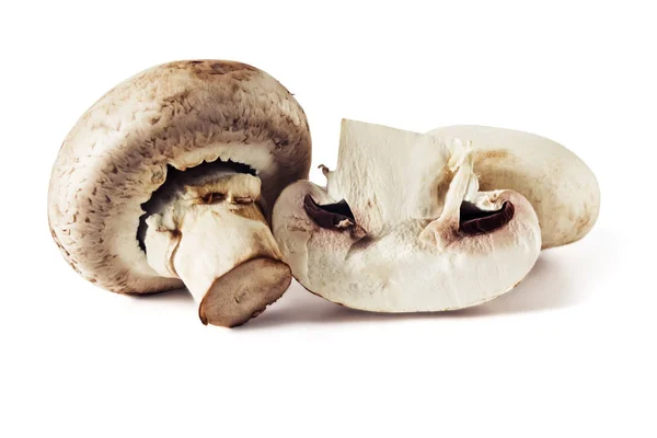 Champignons mit frischen Pilzen — Stockfoto