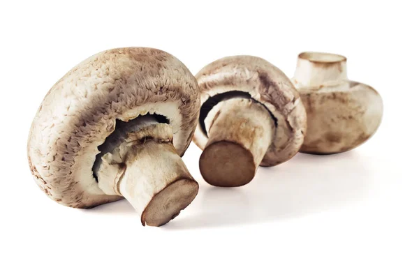 Champinhons de cogumelos frescos — Fotografia de Stock