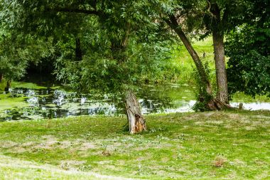 Küçük bir büyümüş nehir