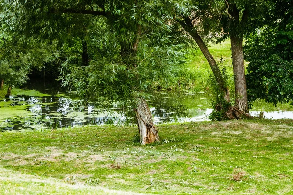 Küçük bir büyümüş nehir