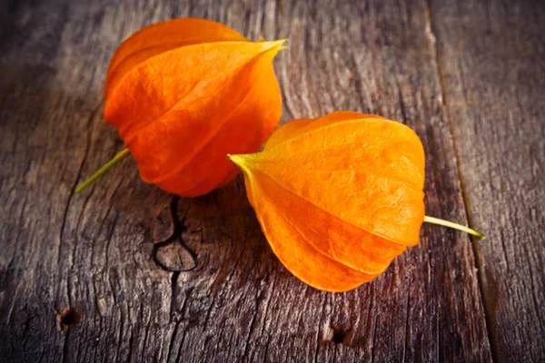 Oranje bloem op een oud bord — Stockfoto