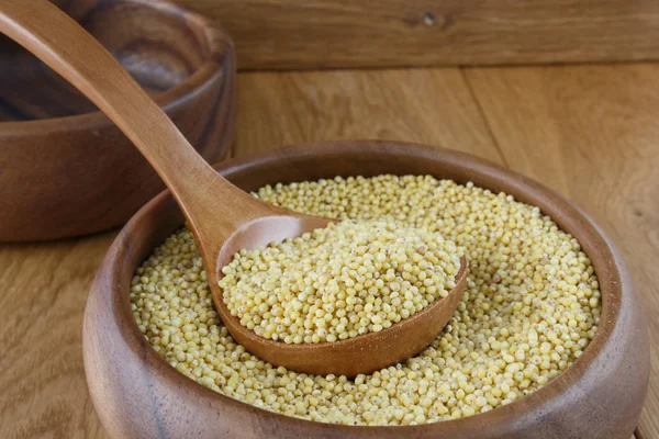 Small millet grains — Stock Photo, Image