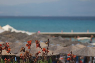 Yunanistan 'ın Halkidiki kentinde yaz tatilleri