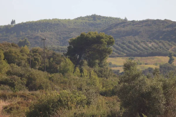 Wakacje Halkidiki Grecja — Zdjęcie stockowe