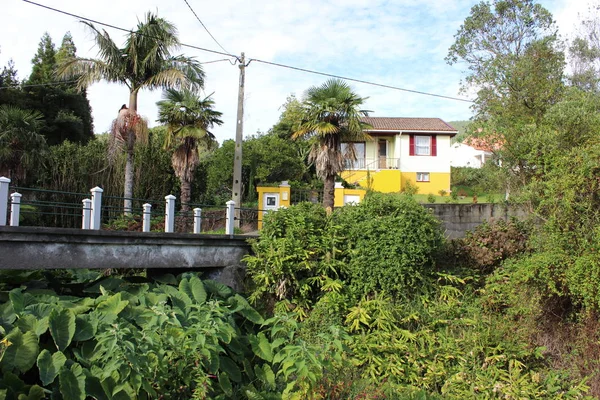 Les Açores San Miguel — Photo