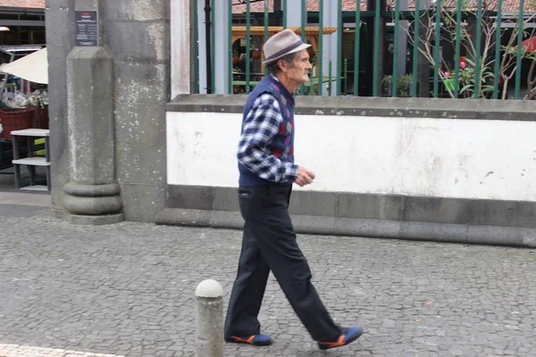 Ilhas Dos Açores San Miguel — Fotografia de Stock