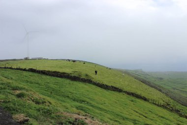Terceira, Azores Adaları, Portekiz