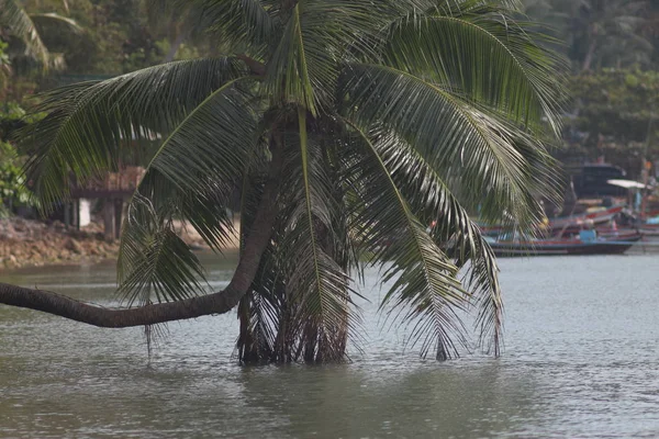 Koh Phangan Sziget Thaiföld — Stock Fotó