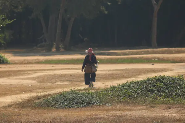 Angkor Wat Siem Reap Cambodge — Photo